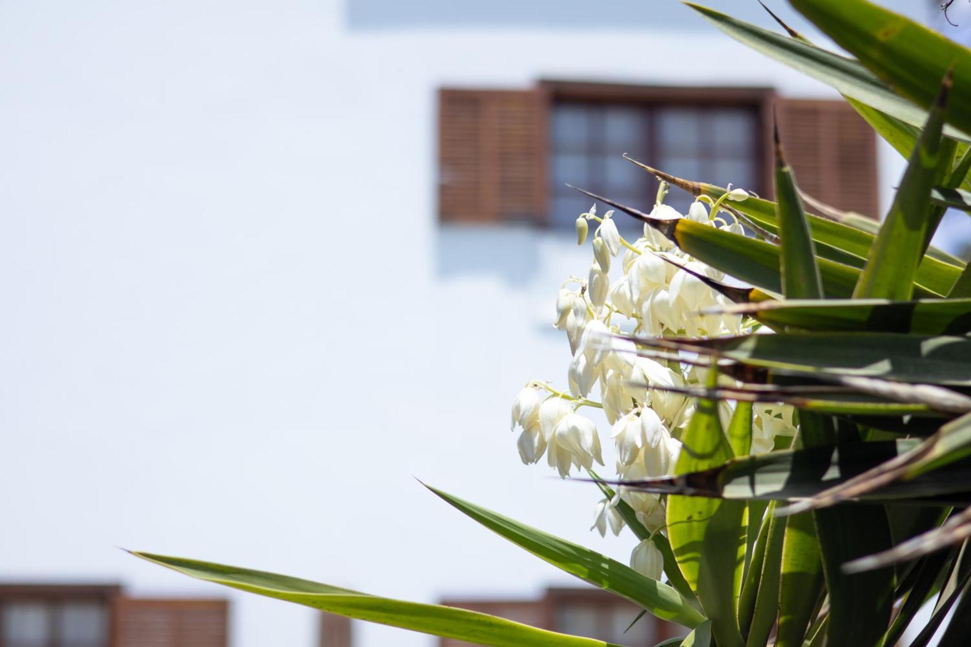 Villa Iseo Playa Blanca  Exterior foto